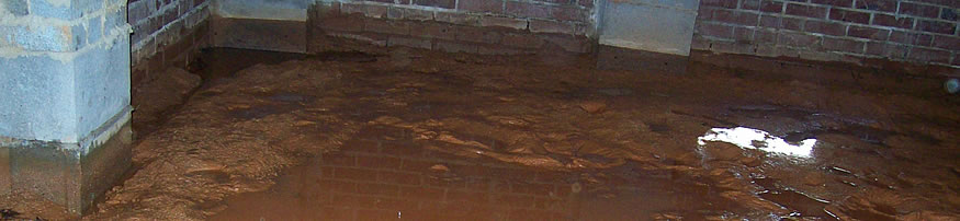Sewage Cleanup