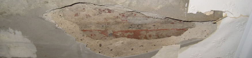 Mould Remediation