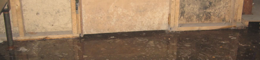 Sewage Cleanup